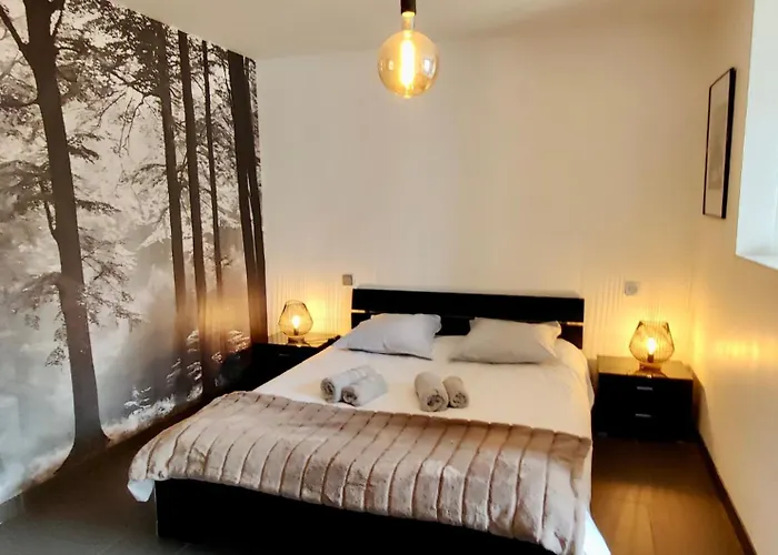 D'olympe Graffigny-Chemin